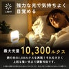 10,300lxの明るい光